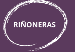 RIÑONERAS